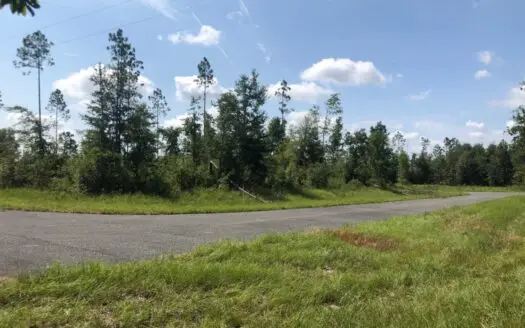 Peaceful Slice Of Nature In The Country