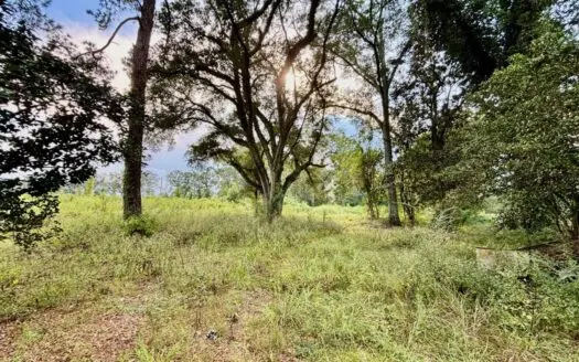80 Acres in Walthall County for Sale