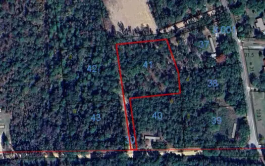 Lot #7 — No Restriction Lots – Beauregard, AL