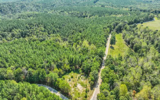 50 Wooded Acres in Scenic Lewis County, TN