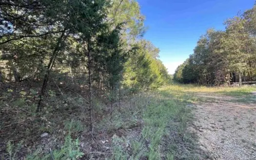 Vacant land for sale Fulton County AR