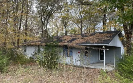 Home For Sale In TN, Fixer Upper, Shop, Near TN River