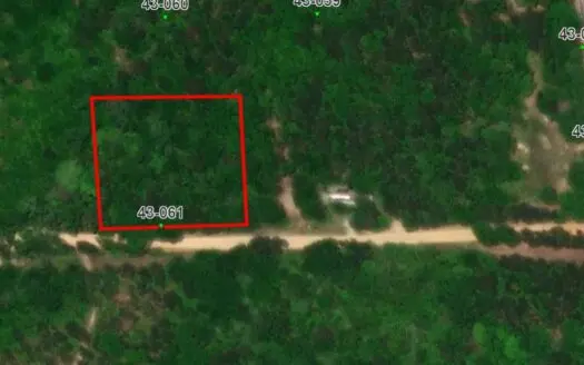 Lot #9 — No Restriction Lots – Beauregard, AL