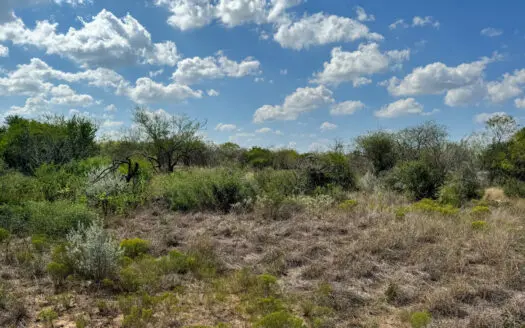 Unrestricted 11.9± Acre Tract – Build, Hunt, or Relax in GW