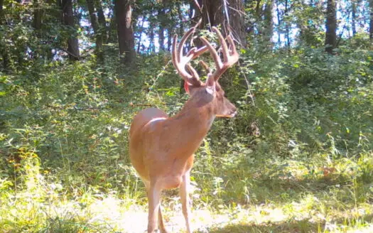 Premier Northern MO Hunting Property FOR SALE