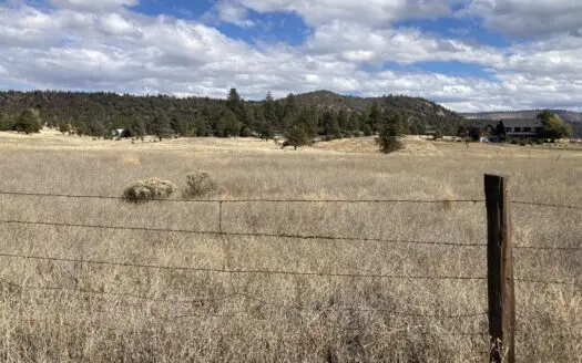 5 Acres of Prime Land in McArthur, California