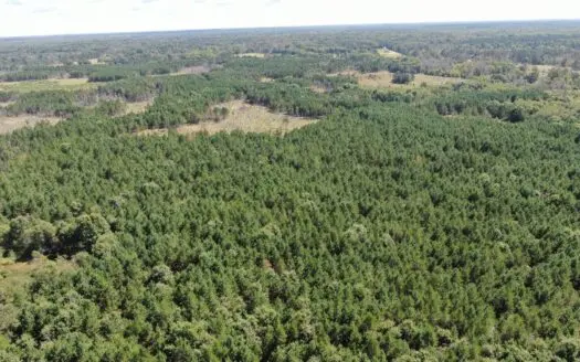 80-acre timbered tract in the Town of Big Flats, Adams County