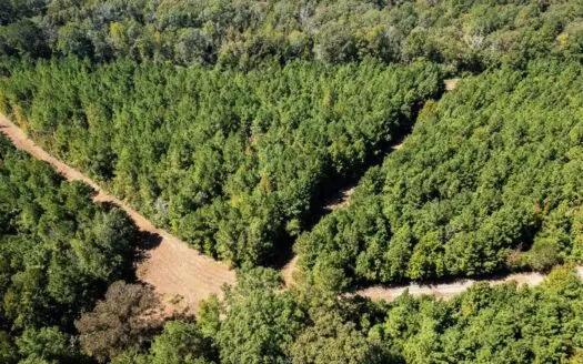 203 Acres in Smithdale MS – Turnkey Hunting Retreat