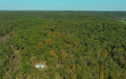 Country Home with Land for Sale in Salem, Missouri