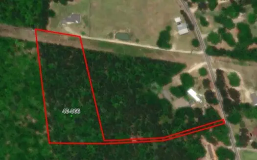 Lot #2 — No Restriction Lots – Beauregard, Alabama