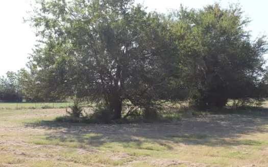 43 Acres for Sale on Pritchard Road, Just Off Hwy 22