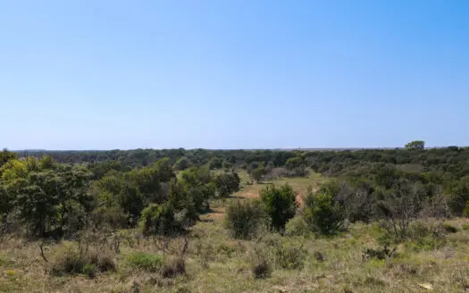 Texas Hunting Land For Sale Ranches Montague County Property