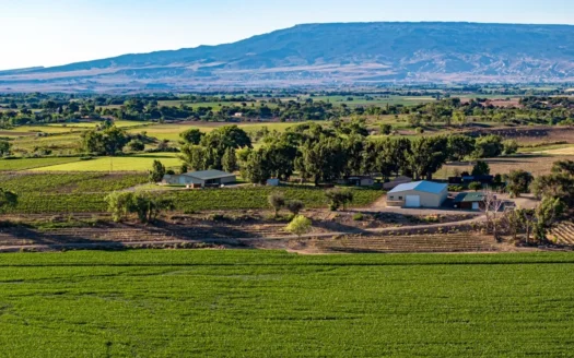 Berkeley Estate Cellars – A Premier Colorado Winery