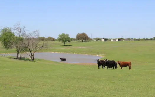 65 Acre Hilltop Ranch – 2820 Talbert Rd, China Spring, TX