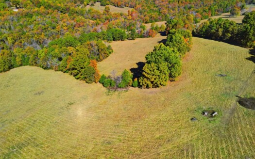 230 Acres – Ozark Hunting & Cattle Land Near Twin Lakes