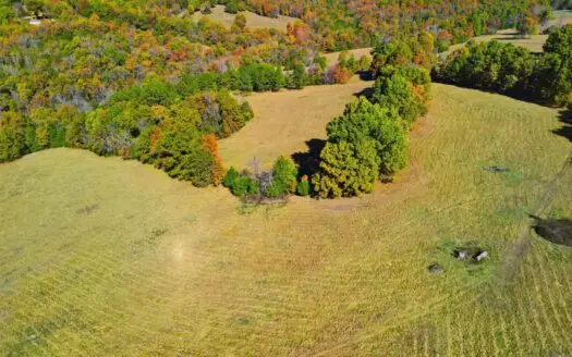 230 Acres – Ozark Hunting & Cattle Land Near Twin Lakes