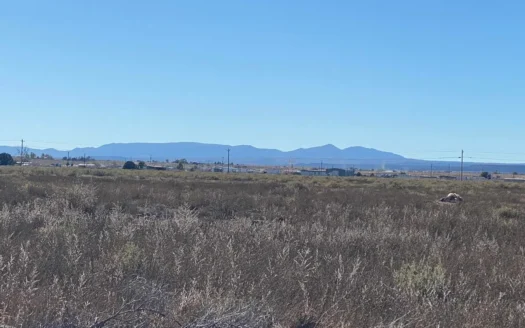 Affordable Homesite Lot in Moriarty NM | 4.295 Acres