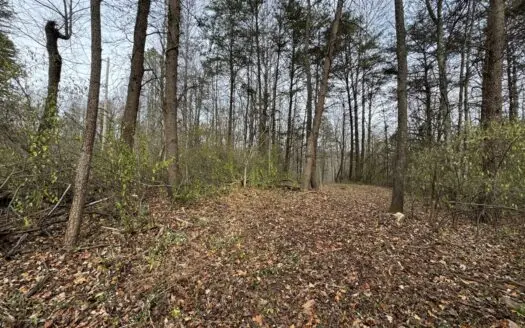 5.17 ac± of Land for sell in Patrick County, VA