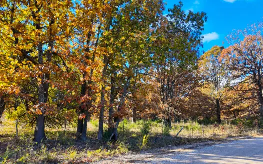 Hunting Property Wheatland, Missour