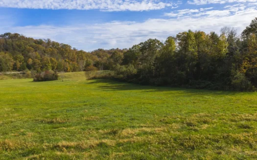 Small home on 111 acres for sale in Blackwater, Virginia