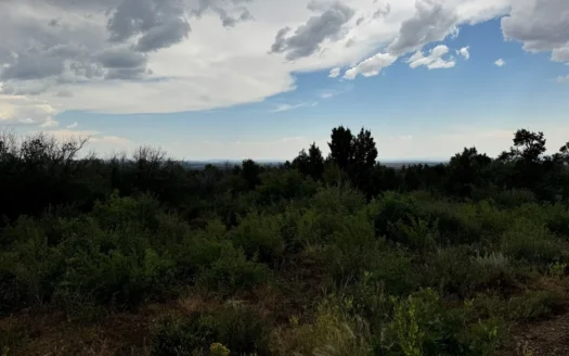 For Sale in Hesperus, CO!