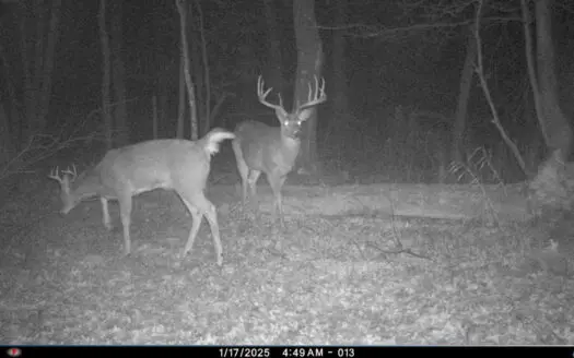 Hunting Camp for Sale in Juneau County, Wisconsin