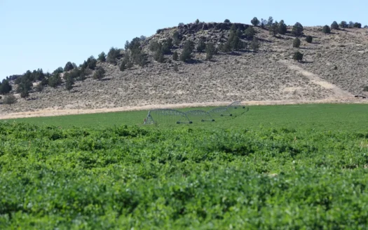 Eastern Oregon Wrights Farm