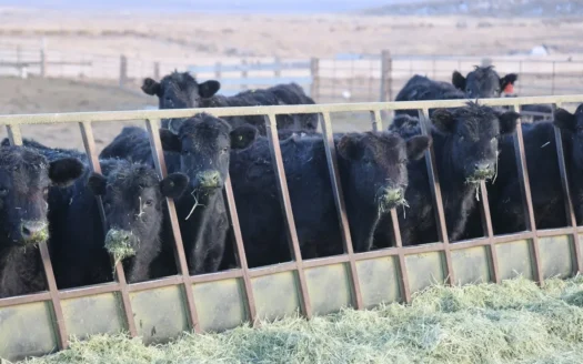Eastern Oregon Briggs Ranch