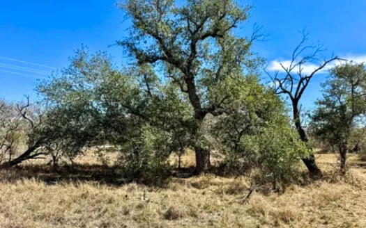 15.01 Acres – Clean, Low-Fenced Tract with Utilities