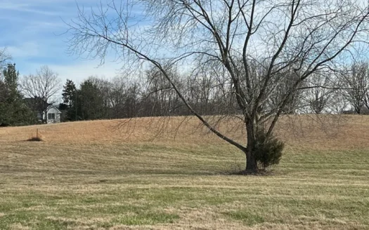 3 acre hill top residential lot for sale near Alvaton Ky.