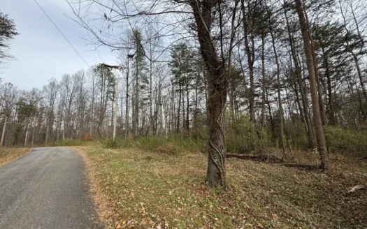 5.81 ac± of land for sell in Patrick County, VA