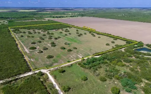 51.5 Acres Sandia, Texas in Jim Wells County