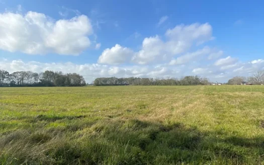 16 Acre  Farm Lafayette Parish