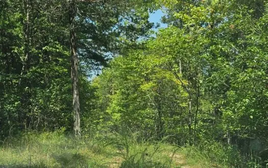 Build Your Dream Home Near Bull Shoals Lake & Golf Course