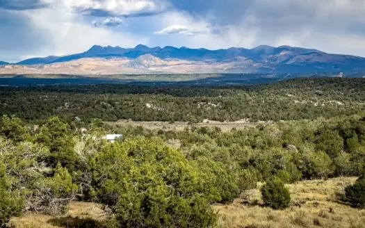 10± Acres for Sale in Cedar Mesa Ranches | Mountain Views Near Du