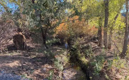 Signature Building Lot for Sale in Cedaredge, CO