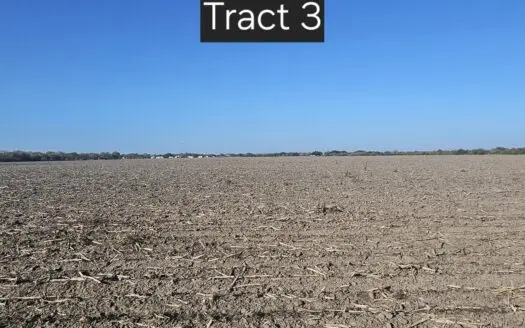 “Land That Turns Dreams Into Reality.”