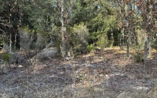 1.25 Acres in Bronson, Florida — Build Your Florida Dream
