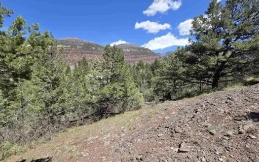 1.03 Acre Lot With Mountain Views for Sale in Ridgway, Colorado