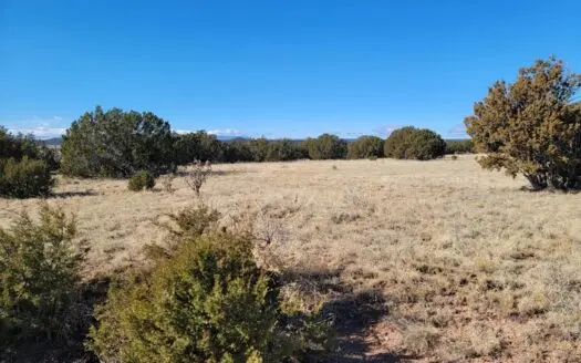 Tranquil 4.7-Acre Retreat in the Manzano Mountain Foothills