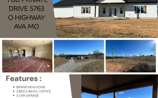 Brand new home for sale in Ava Mo.