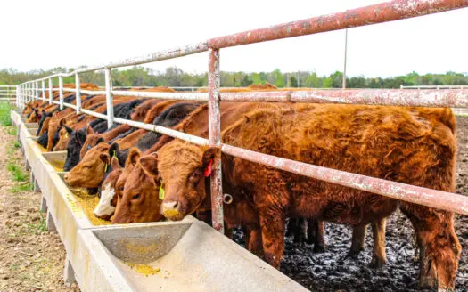 Land For Sale St. Clair County Missouri