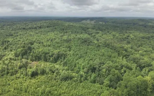 65.84 Acres for Sale in Decaturville, Tennessee