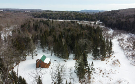Off-Grid Feel, On-Grid Comfort | Brook-Front Cabin on 11 Acres