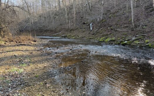 120 Acre Farm, Hunting Property, CREP Income, Creek Frontage