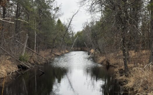 103.69± acre tract in the Town of Necedah, Juneau County