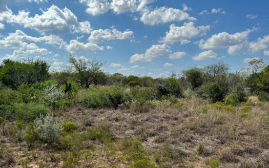 Unrestricted 11.9± Acre Tract – Build, Hunt, or Relax in GW