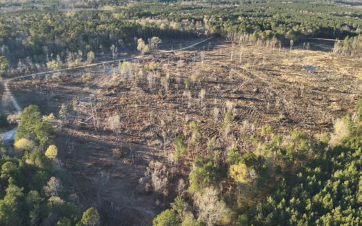 Homesite Potential Land for Sale – Calhoun County, AR