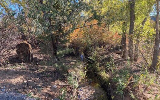 Signature Building Lot for Sale in Cedaredge, CO