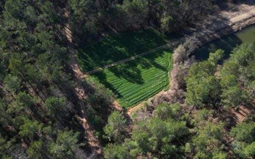 20± Acres in Hazelehurst, MS Near Homochitto NF